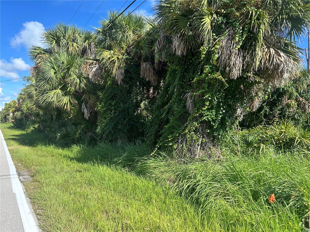 A row of palm trees covered in vines stands beside a paved road and grass — 9041 FRUITLAND AVENUE, ENGLEWOOD, FL