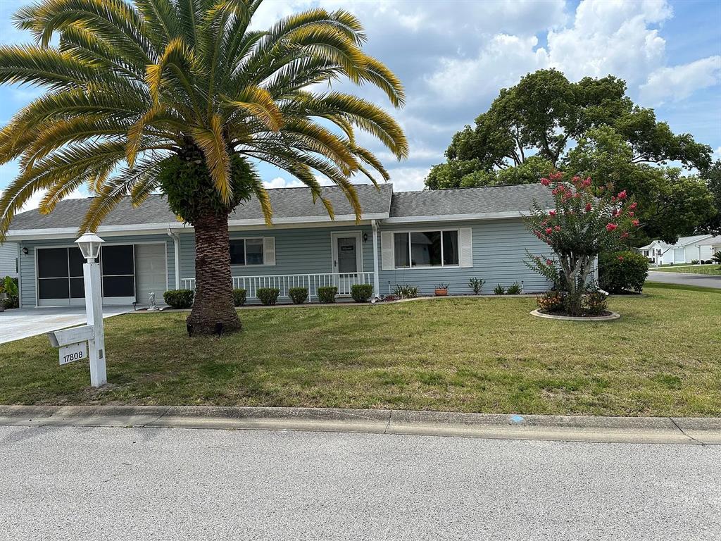 A single-story house with light blue siding, a palm tree, and a front lawn — 17808 SE 107TH TERRACE, SUMMERFIELD, FL
