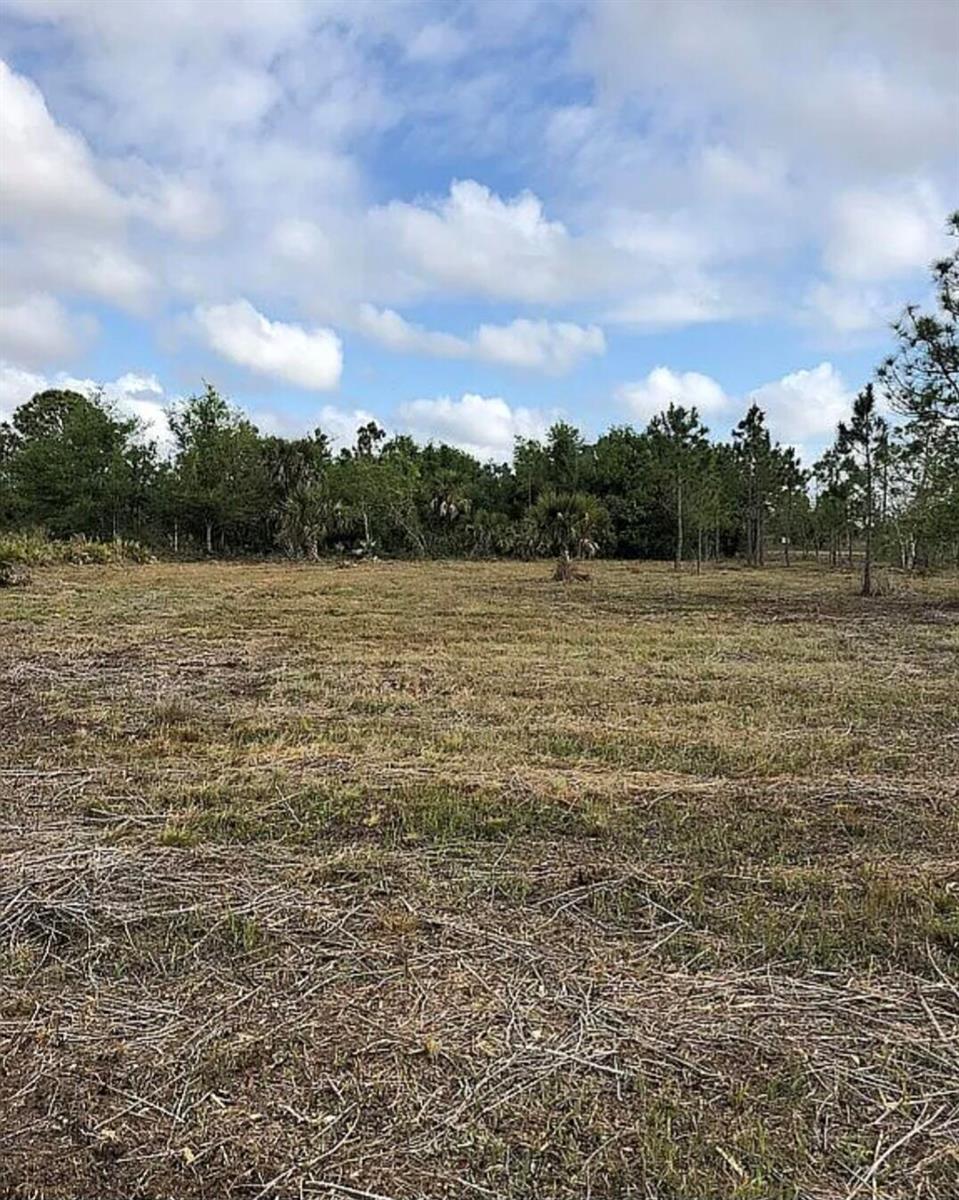 A flat, cleared lot with sparse vegetation and a line of trees in the background — 18826 NW 260th Street, Okeechobee FL 34972, OKEECHOBEE, FL