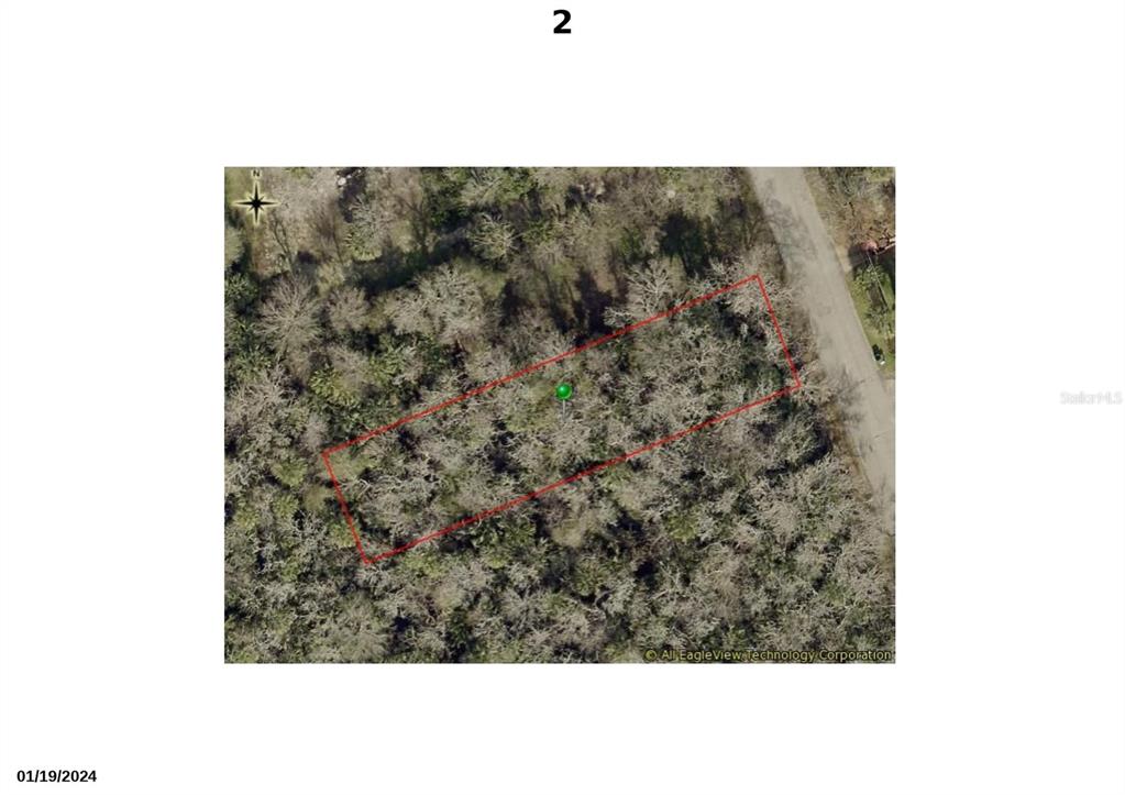 An aerial view shows a rectangular plot of wooded land outlined in red — 1310 ELIZABETH STREET, NEW SMYRNA BEACH, FL