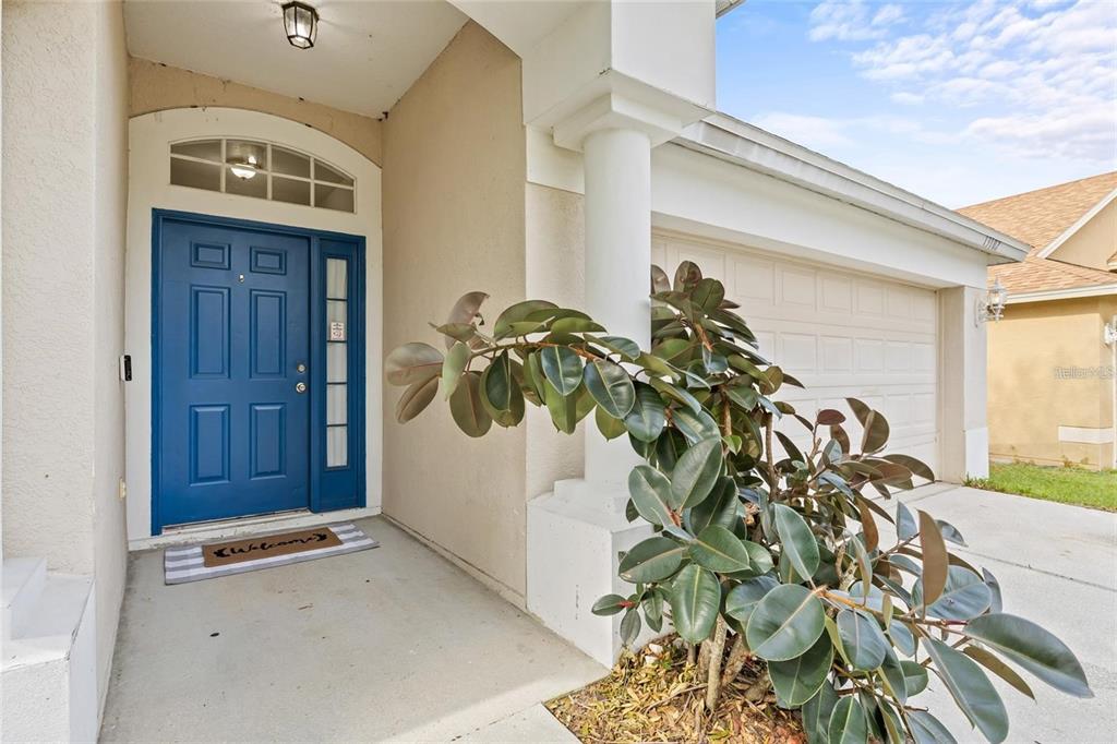 A blue front door with a sidelight and a rubber plant sits under a covered entryway — 13102 EARLY RUN LANE, RIVERVIEW, FL