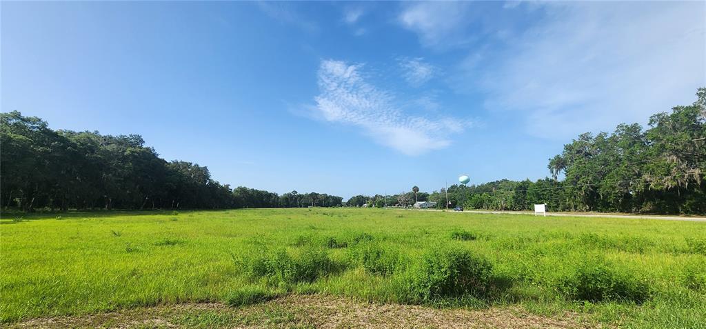 103 E 2ND AVENUE E, PIERSON, FL — photo 2 of 7