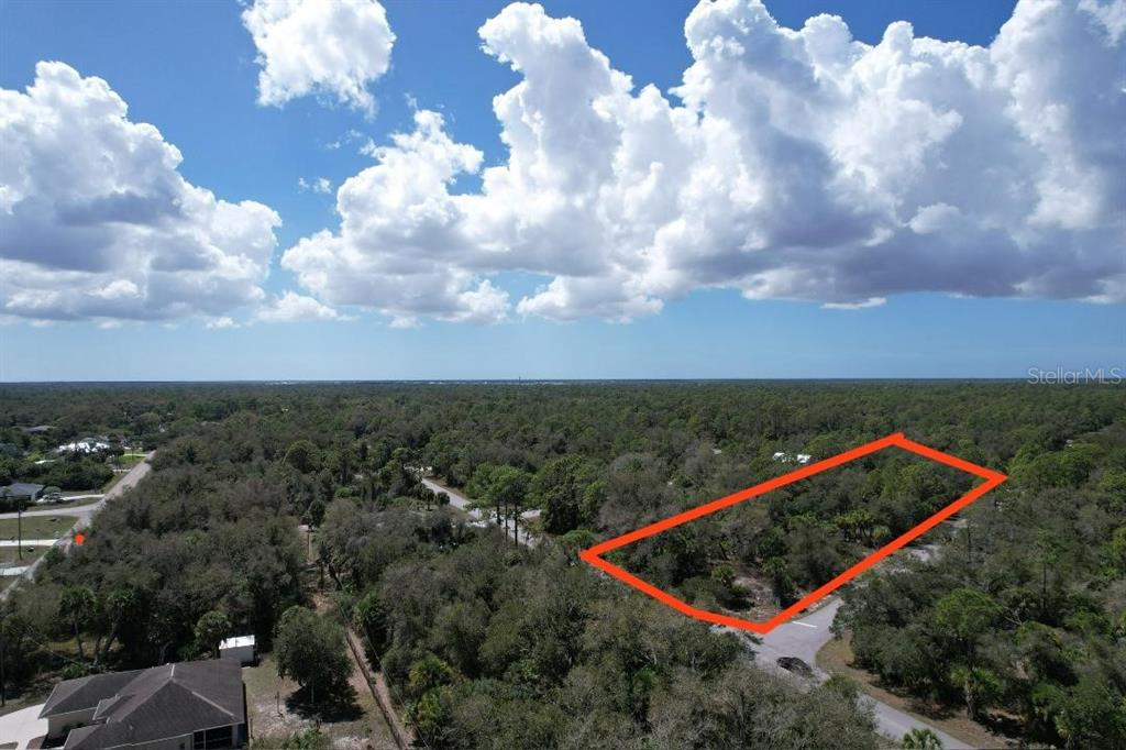 An aerial view shows a rectangular plot of land outlined in red amidst wooded surroundings — 14319 DANIELS AVENUE, PORT CHARLOTTE, FL