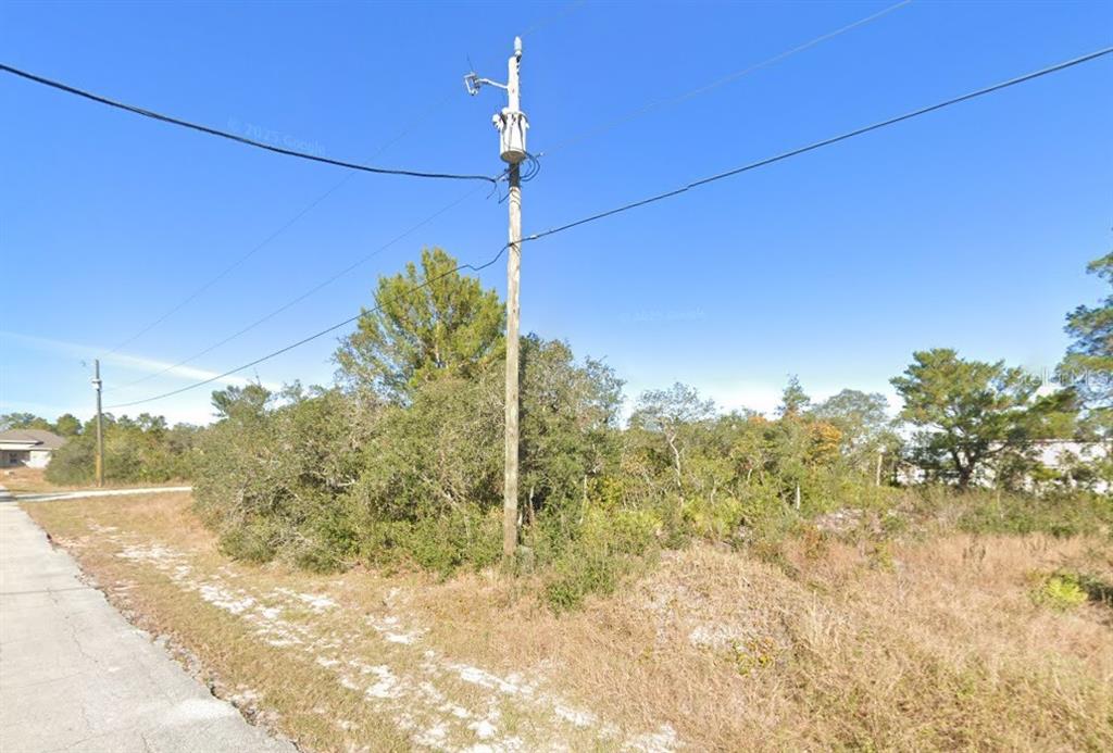 A utility pole stands in a grassy, wooded lot next to a paved road — 611 ALAFIA PLACE, KISSIMMEE, FL