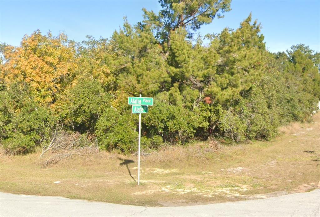 A street sign stands at the corner of a wooded, undeveloped residential lot — 611 ALAFIA PLACE, KISSIMMEE, FL