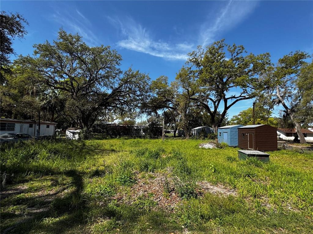 A grassy, overgrown vacant lot features several large trees and two small storage sheds — 4919 HURON STREET, ZEPHYRHILLS, FL