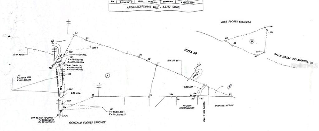 This is a land survey map showing property boundaries, coordinates, and adjacent roads — BO MARTIN GONZALEZ CALLE CAMPECHE, CAROLINA, PR