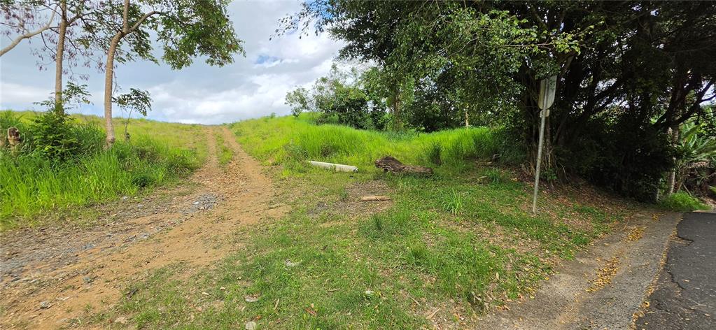 A dirt path leads up a grassy hill next to a paved road and trees — BO MARTIN GONZALEZ CALLE CAMPECHE, CAROLINA, PR
