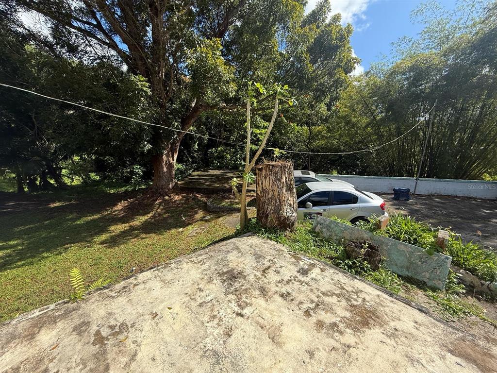 An outdoor area features a concrete slab, a tree stump, and a parked silver car — 910 CAMINO LAS FLORES, HUMACAO, PR