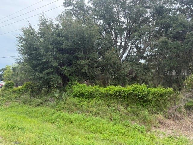 A vacant, overgrown lot features dense green vegetation and several large, mature trees — 5515 STATE ROAD 29 S, LABELLE, FL