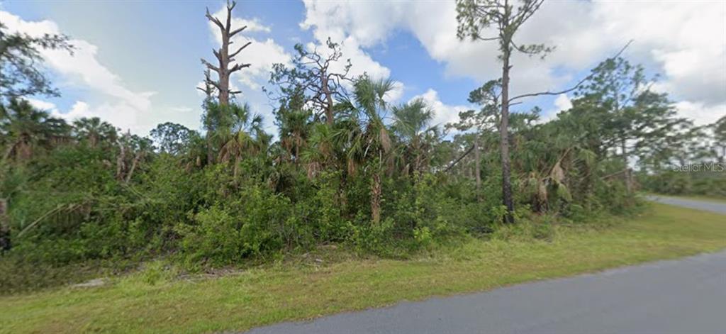 A vacant, wooded lot with palm trees and brush sits next to a paved road — 15121 TALMADGE TERRACE, PORT CHARLOTTE, FL