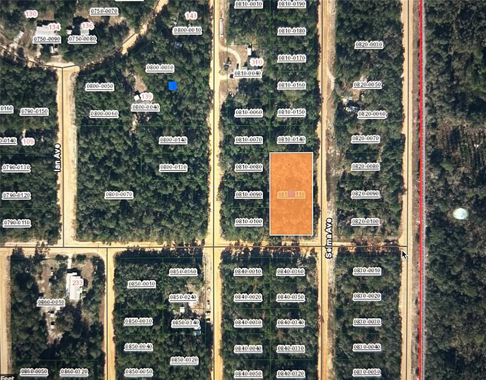 00 SELMA AVE, INTERLACHEN, FL — photo 2 of 2
