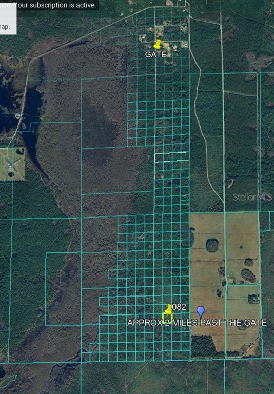 This is an aerial map showing property boundaries, a gated entrance, and a specific parcel — LAKE HARNEY ROAD, OSTEEN, FL