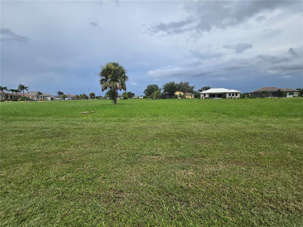A large, flat, grassy vacant lot with a single palm tree under a cloudy sky — 17240 CAPE HORN BOULEVARD, PUNTA GORDA, FL