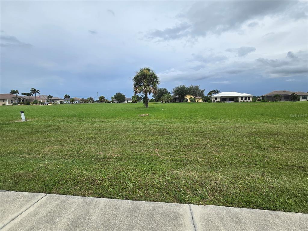 A large, flat, grassy vacant lot features a single palm tree under a cloudy sky — 17240 CAPE HORN BOULEVARD, PUNTA GORDA, FL