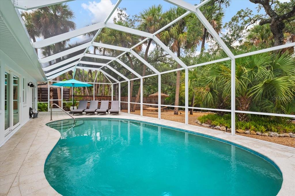 A swimming pool sits inside a screened-in patio with lounge chairs and surrounding palm trees — 5125 SANDY BEACH AVENUE, SARASOTA, FL