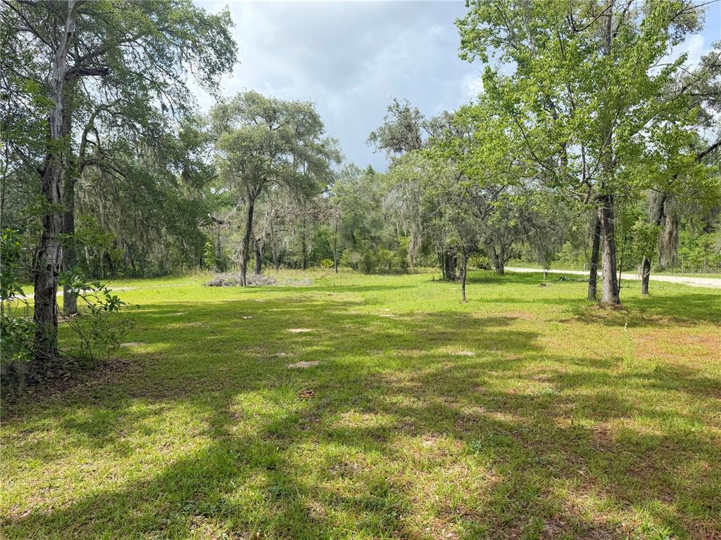 A grassy, partially wooded lot with mature trees under a cloudy sky — 8598 N APPENINES POINT, DUNNELLON, FL