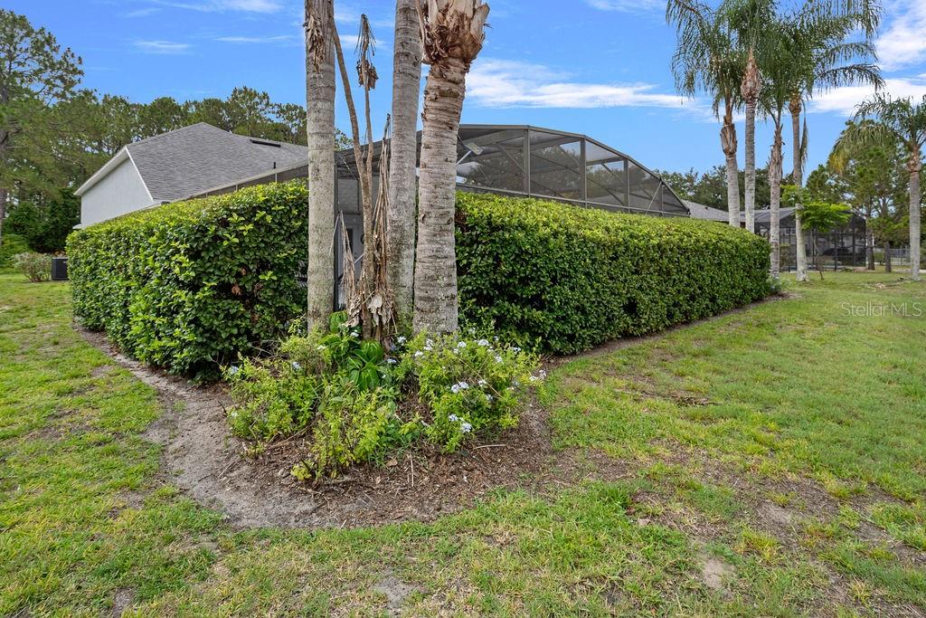 A backyard view features a screened pool enclosure surrounded by a tall, manicured green hedge — 1018 GRAND RESERVE DRIVE, DAVENPORT, FL