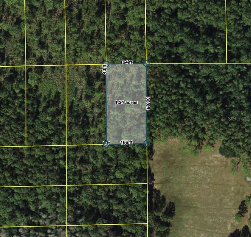 This is an aerial map showing a rectangular 1.24-acre plot of land with dimensions — POLK CITY, POLK CITY, FL