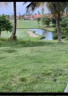 A view of a golf course green and a pond from a grassy area — 1 MONTECARLO UNIT 149, HUMACAO, PR