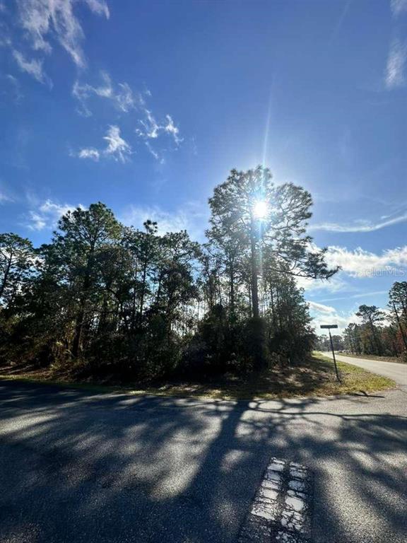 A sunny, wooded corner lot sits at the intersection of two paved roads — 3171 W RANDOLPH LANE, CITRUS SPRINGS, FL