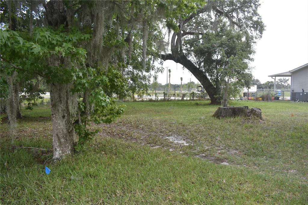 A grassy yard features a large tree with Spanish moss and a prominent tree stump — LOT 60 BLK C LEXINGTON CIRCLE, WILDWOOD, FL