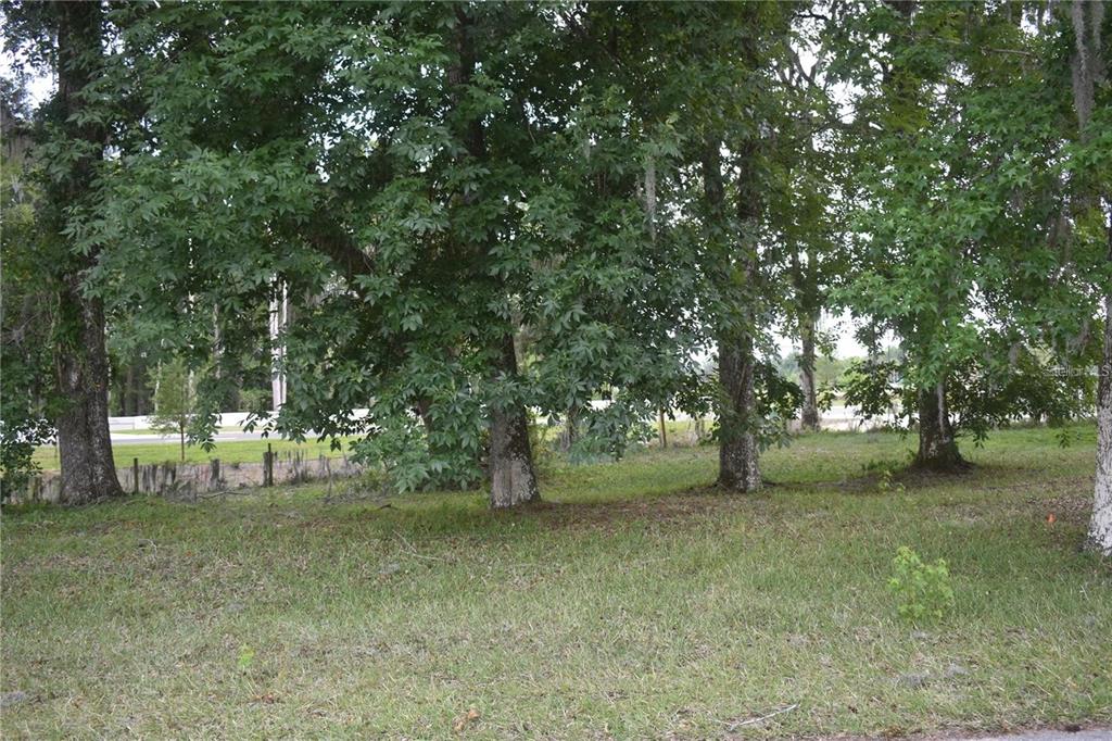 A grassy, tree-filled lot with a wire fence visible in the background — LOT 60 BLK C LEXINGTON CIRCLE, WILDWOOD, FL