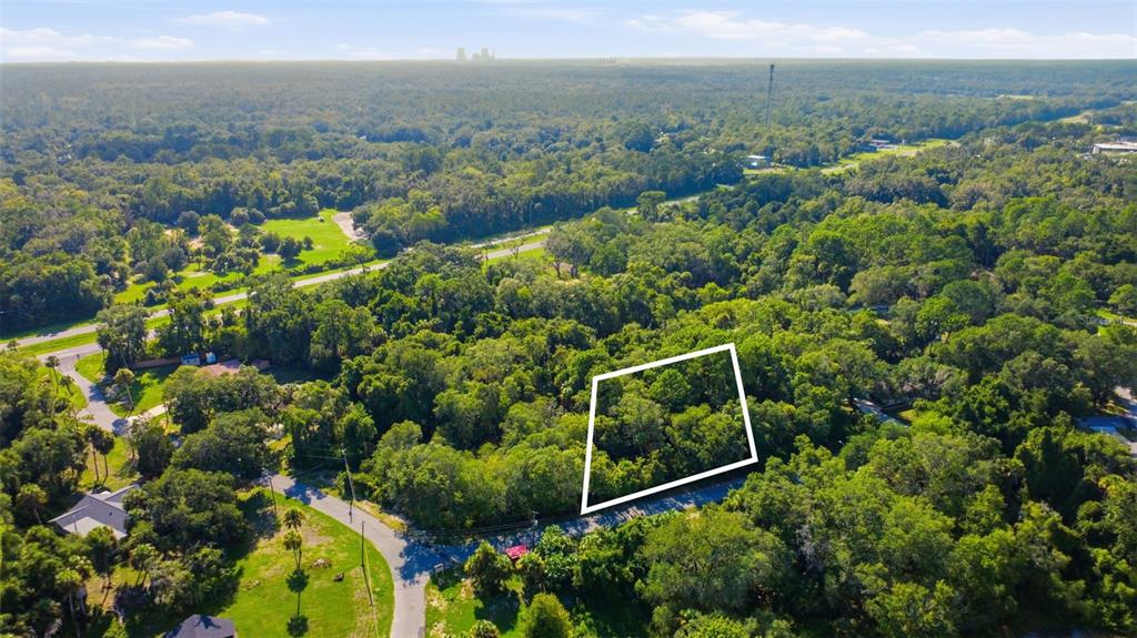 An aerial view shows a wooded, undeveloped lot outlined in white next to a paved road — 5995 N BROOKGREEN DRIVE, CRYSTAL RIVER, FL