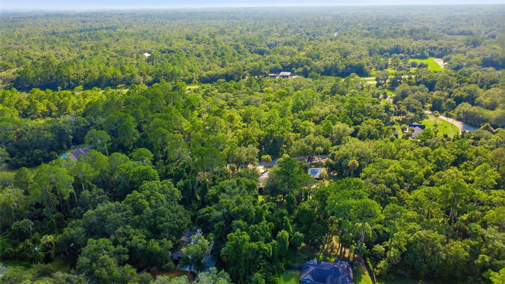 An aerial view shows several houses nestled within a dense, green forest landscape — 5995 N BROOKGREEN DRIVE, CRYSTAL RIVER, FL