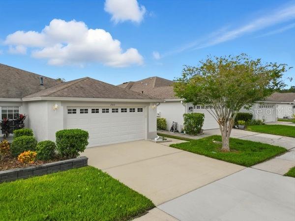 1910 SASSAFRAS DRIVE