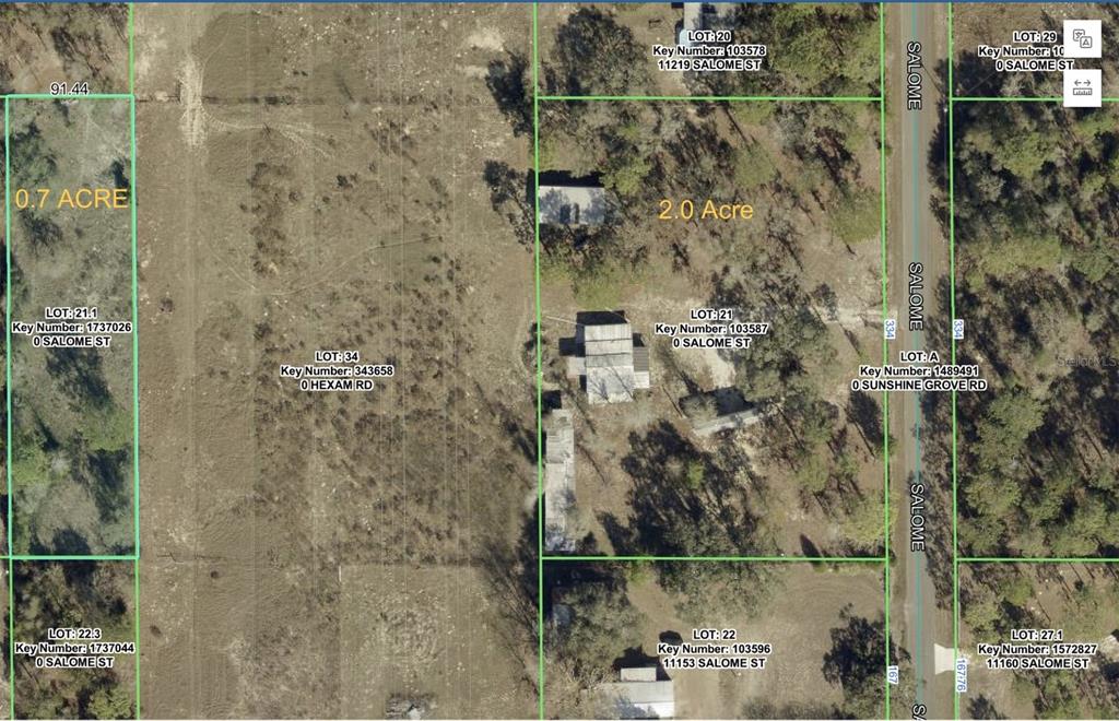 This is an aerial map showing property lot boundaries and parcel information for a wooded area — 11189 SALOME STREET, BROOKSVILLE, FL