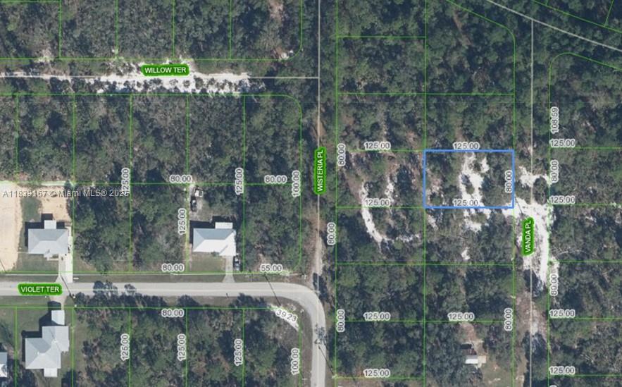 This is an aerial map showing a vacant residential lot highlighted in blue — 6809 VANDA PL, Sebring FL 33875, SEBRING, FL