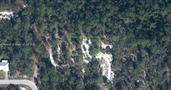 An aerial view shows a rectangular plot of land outlined in green amidst wooded terrain — 6809 VANDA PL, Sebring FL 33875, SEBRING, FL