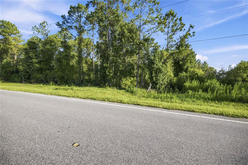 A paved road runs alongside a grassy verge fronting a dense, wooded lot — 0 E HIGHWAY 318, CITRA, FL