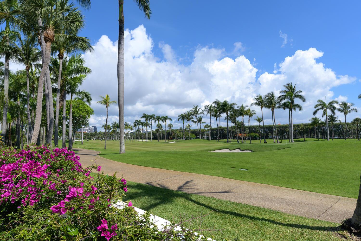 A paved path winds through a lush green golf course lined with many palm trees — 201 Pendleton Avenue, Palm Beach FL 33480, PALM BEACH, FL
