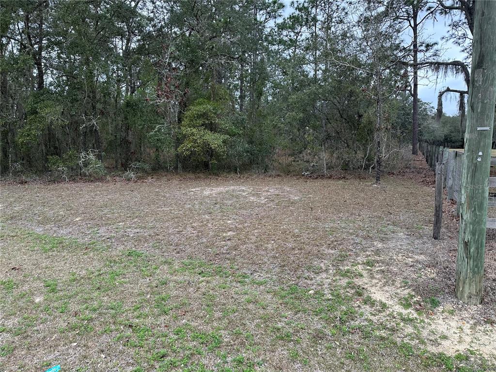 A grassy, partially cleared lot bordered by a wooden fence and dense forest — 0000 SE 123 RD TERRACE, MORRISTON, FL