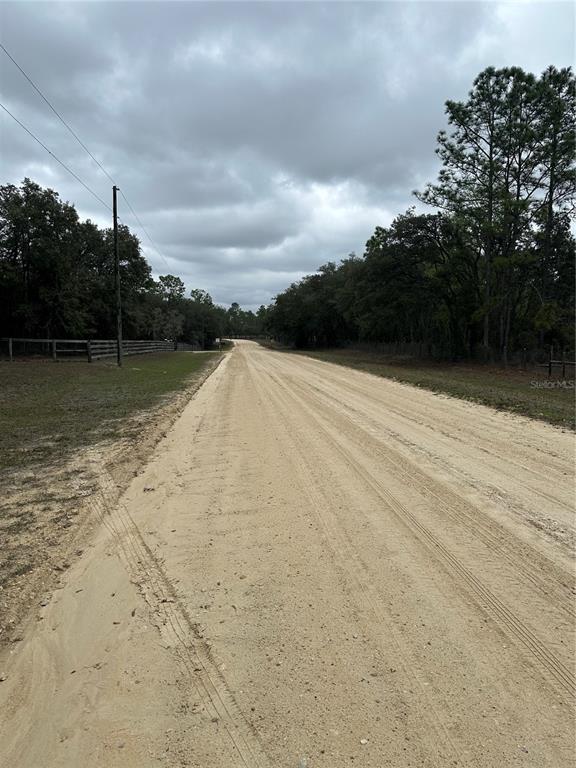 A dirt road stretches into the distance between grassy fields and wooded areas — 0000 SE 123 RD TERRACE, MORRISTON, FL