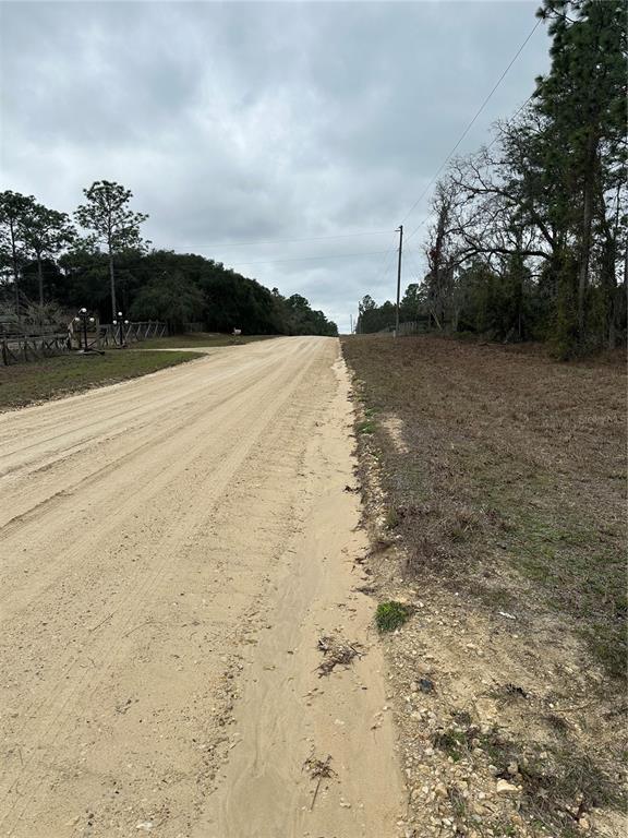 A dirt road stretches into the distance between a grassy field and a wooded area — 0000 SE 123 RD TERRACE, MORRISTON, FL
