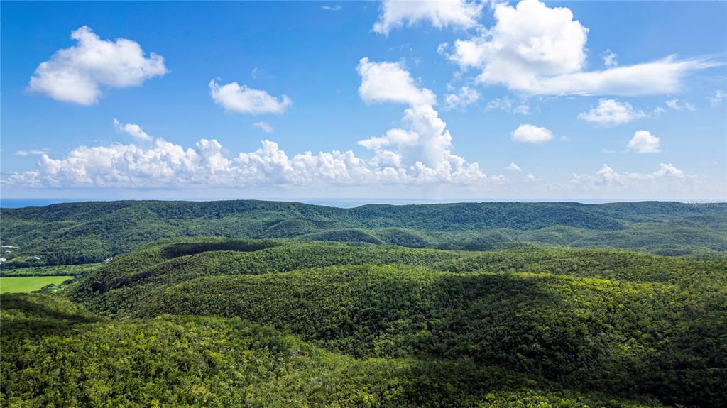 An aerial view shows a vast, hilly landscape covered in dense green forest under a sky — Calle 335 BARINAS, YAUCO, PR