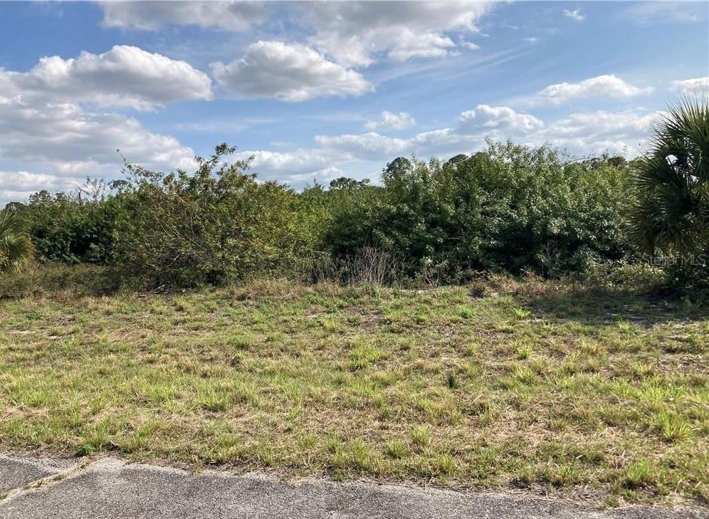 A vacant, grassy lot with dense vegetation and trees in the background — 208 ELMWOOD STREET, LABELLE, FL