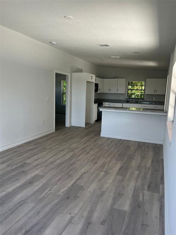 An open-concept kitchen features white cabinetry, granite countertops, and light gray wood-look flooring — 1505 S WESTMORELAND DRIVE, ORLANDO, FL