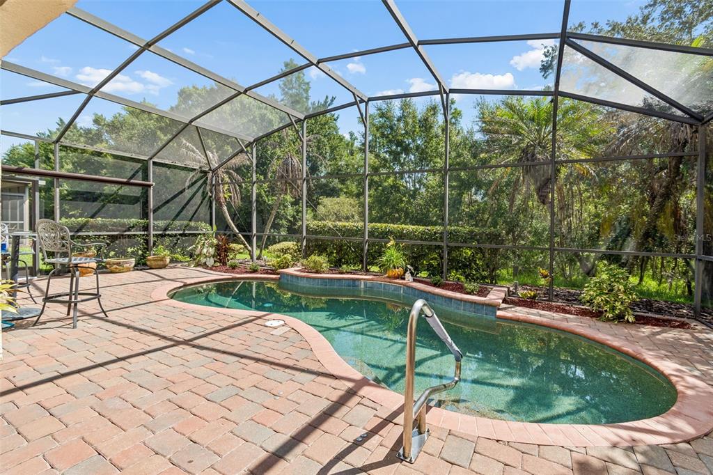 A screened-in patio features a kidney-shaped swimming pool surrounded by brick pavers and lush landscaping — 729 CORONADO DRIVE, POINCIANA, FL
