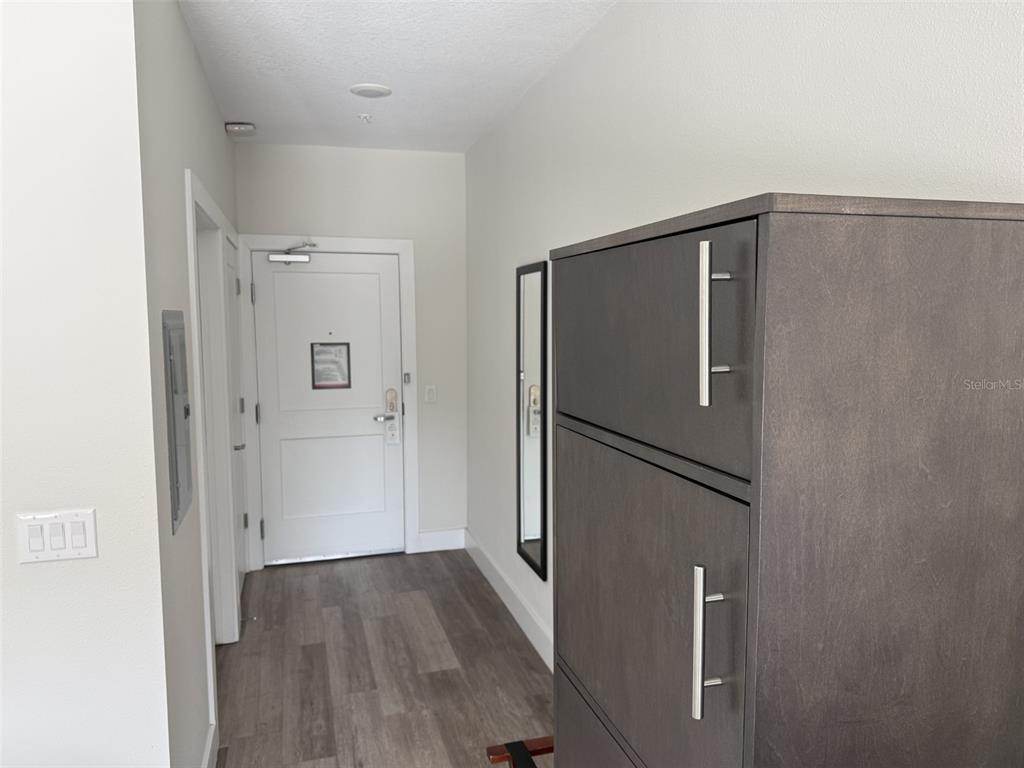 A view of an entryway featuring wood-look flooring, a white door, and a tall cabinet — 15695 GROVE RESORT AVENUE UNIT 4417, WINTER GARDEN, FL