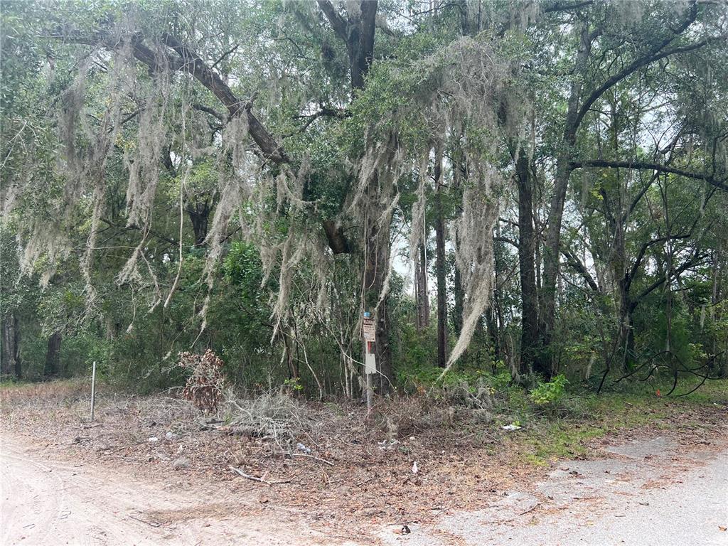 A wooded lot with Spanish moss hanging from large trees near a dirt road — 00 NW 187TH ROAD, HIGH SPRINGS, FL
