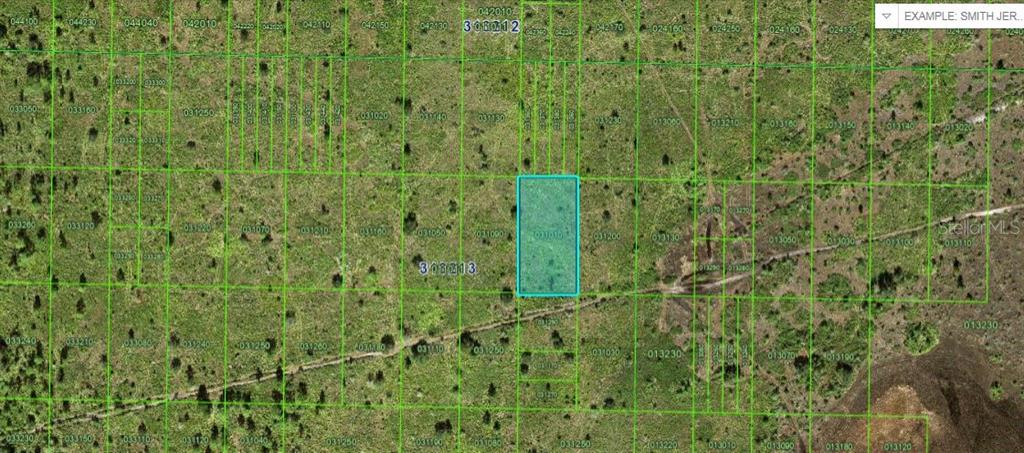 This is an aerial map showing a highlighted rectangular land parcel outlined in blue — RIVER RANCH BOULEVARD, LAKE WALES, FL