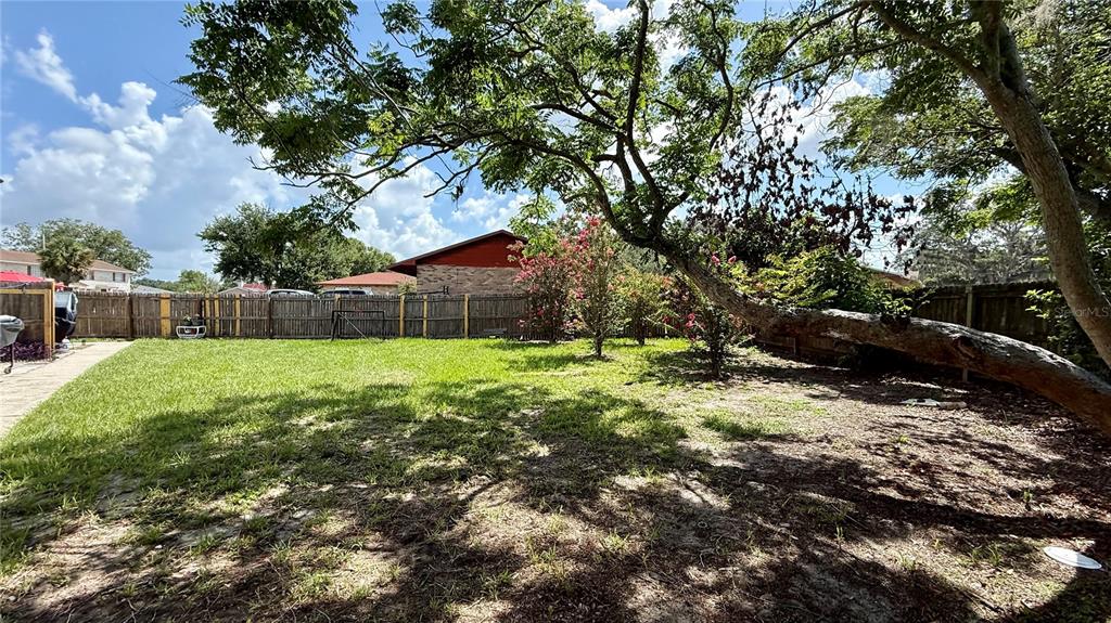 A grassy backyard features a large, leaning tree and a wooden fence under a blue sky — 202 CENTURY BOULEVARD UNIT D, AUBURNDALE, FL