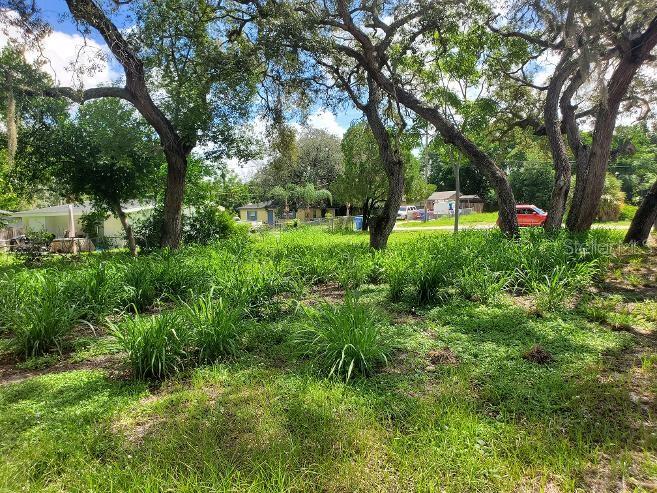 A grassy, tree-filled vacant lot sits in front of neighboring houses on a sunny day — 1922 VIRGINIA AVENUE, TARPON SPRINGS, FL