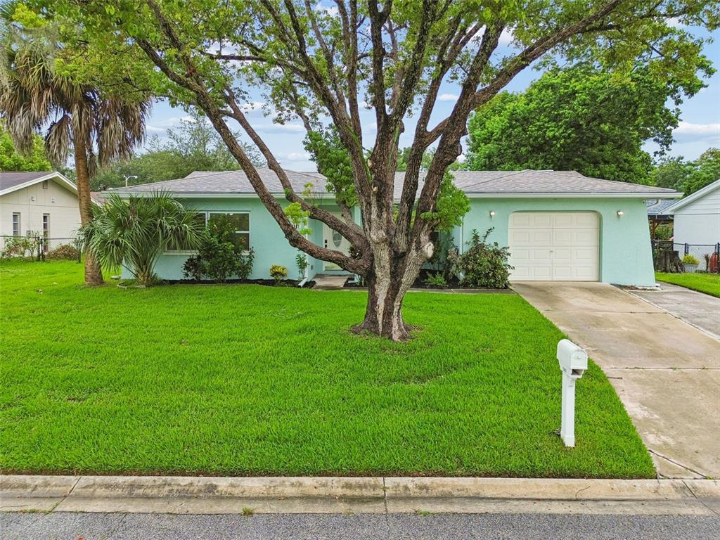 A light green single-story house features a large tree in the front yard and driveway — 12807 WILLOWDALE WAY, HUDSON, FL