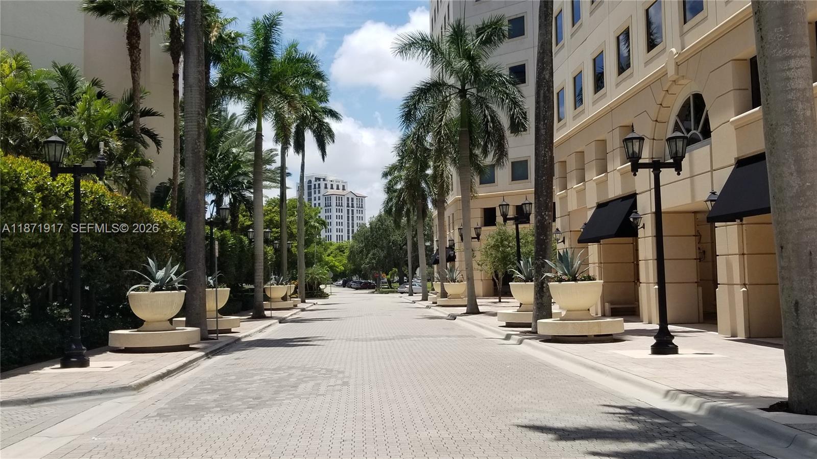 A paved street lined with palm trees and commercial buildings features decorative planters and lamps — 888 S Douglas Rd # 1213, Coral Gables FL 33134, CORAL GABLES, FL