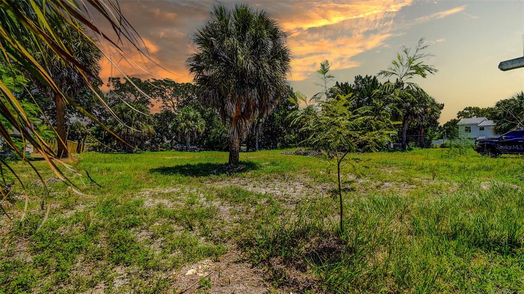 A grassy, vacant lot features several palm trees under a vibrant sunset sky — 0 SEA GRAPE DRIVE Lot 10, HERNANDO BEACH, FL